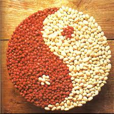 Tính ứng dụng của Đạo, Âm dương và Khí