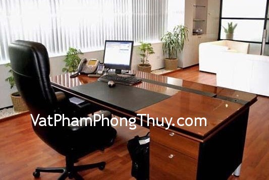 Phong thủy tổng quan về cách bài trí văn phòng