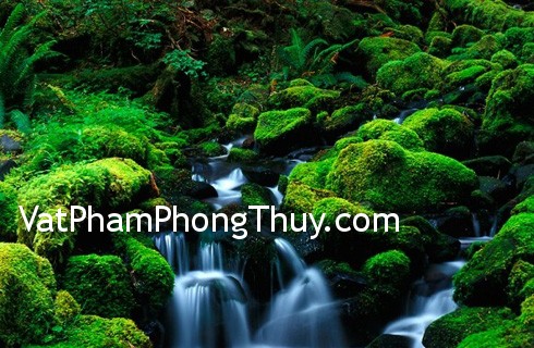 Dùng biểu tượng hành Thủy kích hoạt vận may trong nhà