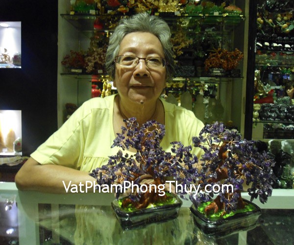 Cô Khanh - khách hàng mua cây tài lộc thạch anh tím HCA261