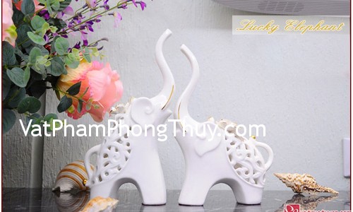 Biểu tượng voi mang lại may mắn và trí tuệ