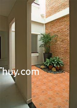Nơi tập thể dục nên "Tọa hung hướng cát"