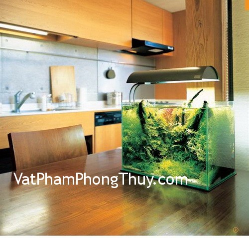 Chọn hình dáng bể cá theo phong thủy