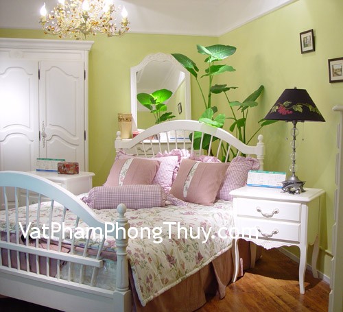 Trồng cây trong phòng ngủ - Nên hay không ?