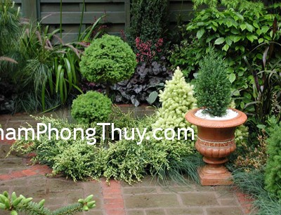 Cách bố trí cho sân vườn hợp phong thủy