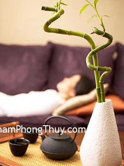 Những sai lầm tiêu biểu trong phong thủy