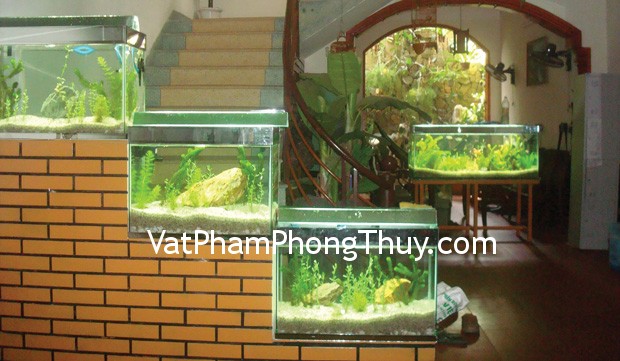 Bể cá cảnh hợp phong thủy mang lại tài lộc và thịnh vượng