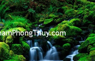 Chọn tranh phong thủy mang lại may mắn cho người tuổi Mùi