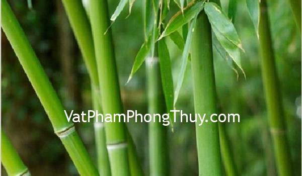 Những bí quyết phong thủy đơn giản để cải tạo vận mệnh