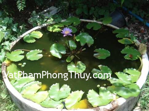 Ảnh hưởng phong thủy xấu từ nhà bên cạnh và cách hóa giải