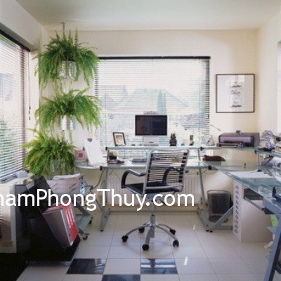 Nguyên tắc bố trí cây xanh trên bàn làm việc