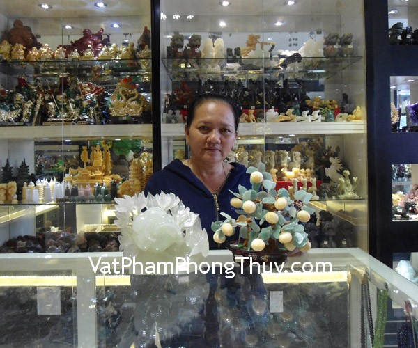 Anh Linh - Khách hàng mua Cây tắc đá Hoàng long M075