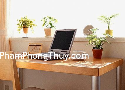 Bố trí cây xanh hài hòa cho góc làm việc