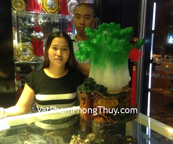 Chị Phương- khách hàng mua bắp cải xanh lớn trên đế cây bồ đề H191G