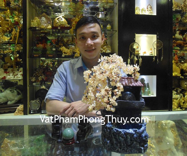 Anh Nghĩa - khách hàng mua cây tài lộc HCA255, tỳ hưu thạch anh đen HM012 và cầu ngọc đông linh HM158-431
