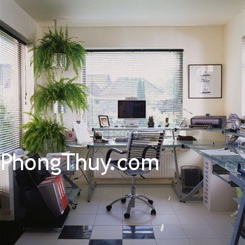 Cách bày trí đồ đạc văn phòng đem lại tài vận