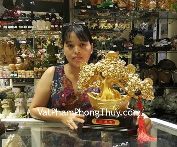 Chị Thanh - khách hàng mua cây nén vàng châu báu H509G