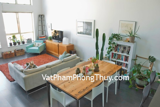 Những loại hoa phản tác dụng phong thủy nên kiêng trong nhà