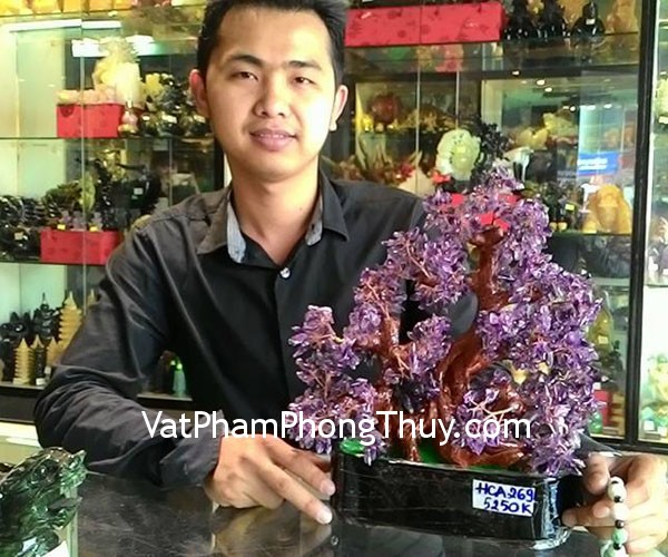 Anh Vỹ - Khách hàng mua Cây tài lộc thạch anh tím HCA269 và Chuỗi phỉ thúy S984