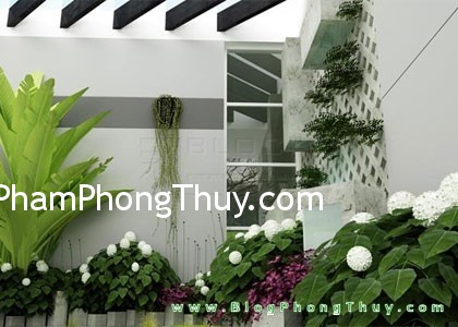 Cây xanh mang lại sinh khí cho phòng ăn