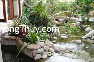 Cách sắp xếp đá sân vườn cân bằng âm dương ngũ hành