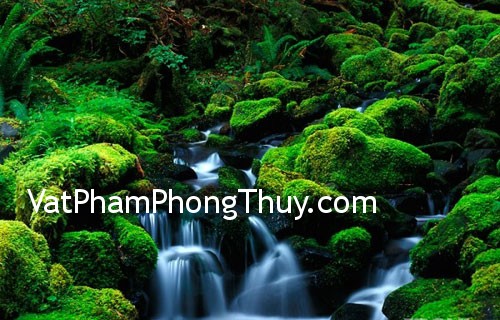 Chọn loại tranh treo phù hợp theo hướng