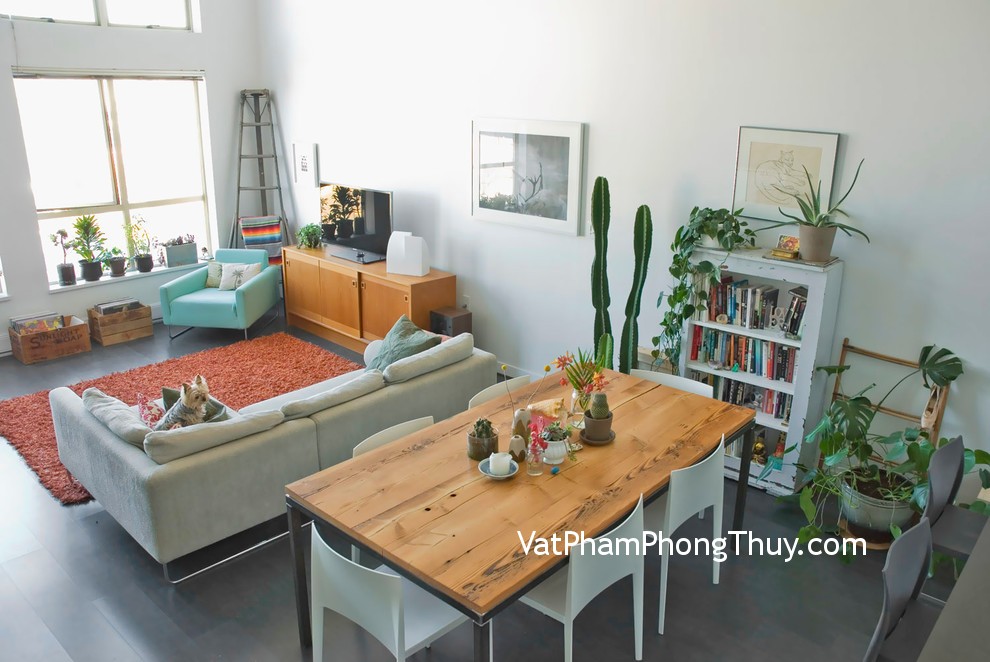 3 Loại hoa nên đặt đúng chỗ nếu không sẽ phản tác dụng