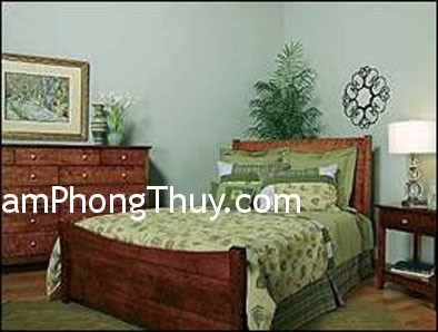 Đặt cây cảnh trong phòng ngủ thế nào là hợp phong thủy