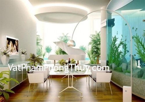 Những vị trí tối kỵ khi đặt bể cá cảnh
