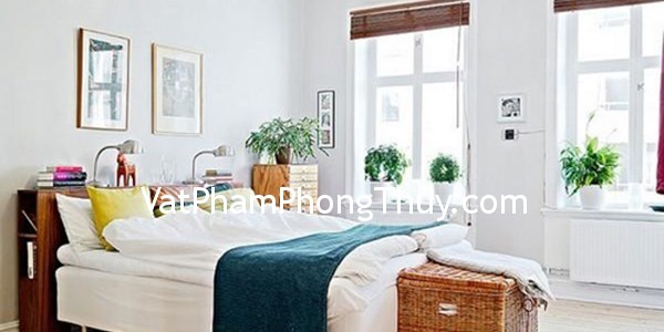 Nên và không nên khi đặt cây xanh trong phòng ngủ