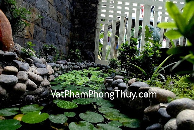 Ích lợi của việc bố trí cây xanh và nước trong nhà