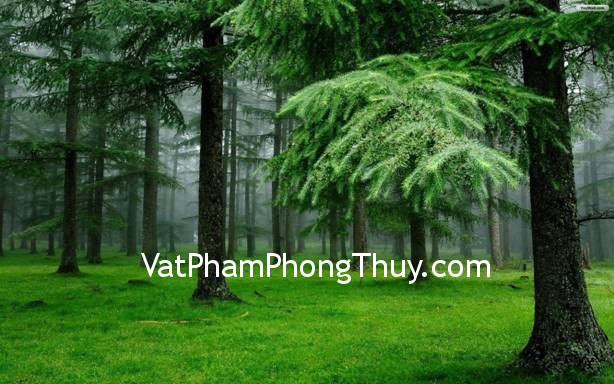 Những biểu tượng phong thủy đem lại sự trường thọ