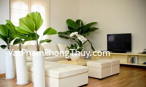 Những kiêng kị cần biết khi trang trí nhà cửa