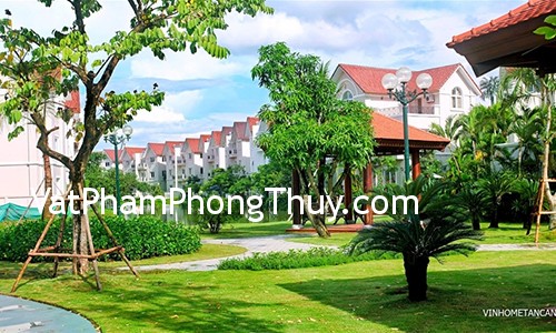 Những cấm kị phong thủy đối với cây cối trong nhà