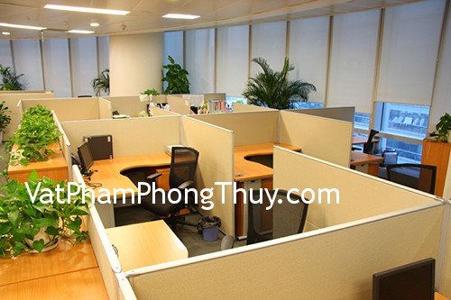 Chọn cây cảnh trang trí bàn làm việc để sự nghiệp được suôn sẻ