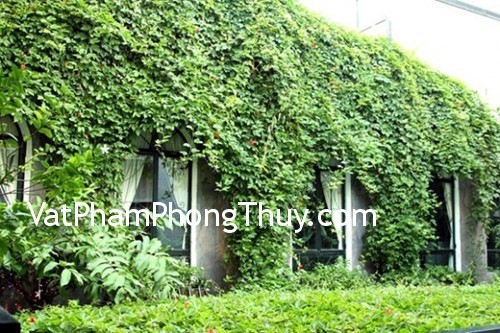 Phong thủy ngũ hành đem lại sự bình yên cho ngôi nhà