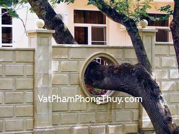 Nguyê tắc trồng cây hợp phong thủy cho nhà ở