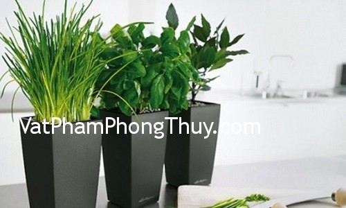 Phong thủy đón tài lộc cho nhà ở dịp Trung Thu