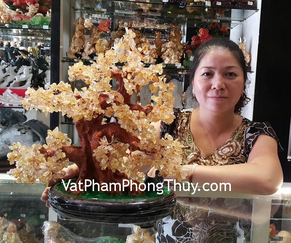 Chị Tuyền - khách hàng mua cây tài lộc thạch anh vàng KC031