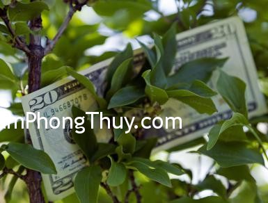 Những bí quyết đơn giản 'gọi' tiền về nhà