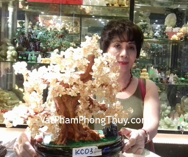 Cô Thủy - Khách hàng mua cây tài lộc thạch anh vàng