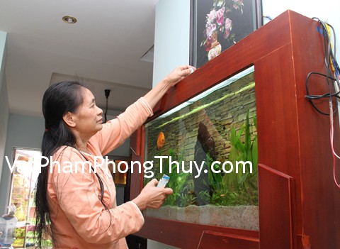 Cách chọn hình dáng bể cá đem lại may mắn