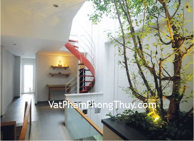 Cách chọn cây xanh trong nhà sao cho vừa tăng tài lộc vừa tốt cho sức khỏe