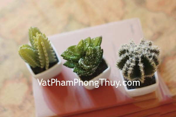 Bàn làm việc không nên đặt vật này kẻo gặp xui