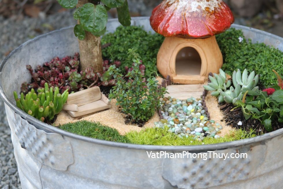 Nhà nhỏ vẫn tha hồ biến hóa với những chậu cây 'cổ tích'