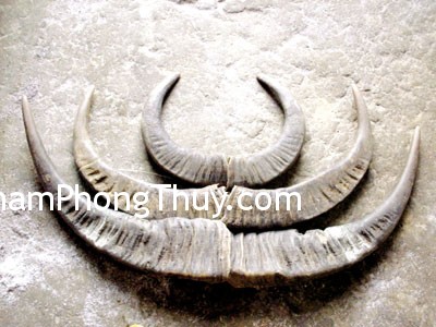 8 loại vật phẩm sẽ mang lại tài lộc cho văn phòng