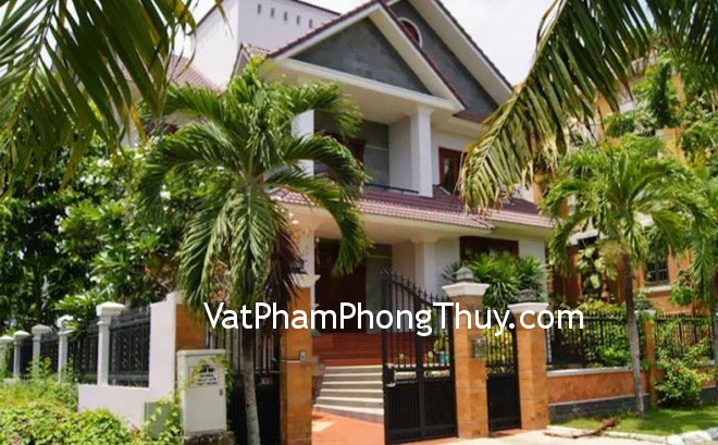 Trước nhà có 1 trong 6 loài cây này, thì gia đình sẽ tránh được nhiều xui xẻo trong năm