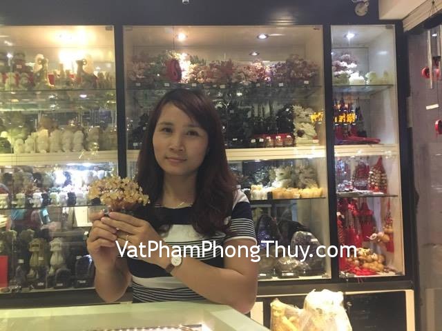 Chị Linh - khách hàng đã mua cây tài lộc thạch anh vàng KC057