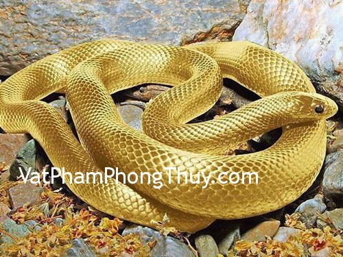 6 dấu hiệu báo trước bạn sắp gặp may mắn về tiền bạc và tình yêu