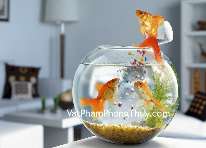 Những bảo vật phong thủy tương ứng giúp thu hút tài lộc của 12 con giáp